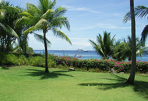 Palmenstrand